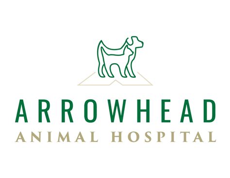 Arrowhead animal hospital - Complete Veterinary Services for Dogs & Cats Arrow Animal Hospital has been serving San Dimas since 1970. We have grown through the years and we're excited about our 6300 square foot state-of-the-art facility to bring the highest quality of animal care. Take a look inside Arrow Animal Hospital. Dr. Vinod Janaya (Patel), DVM has been giving pet care